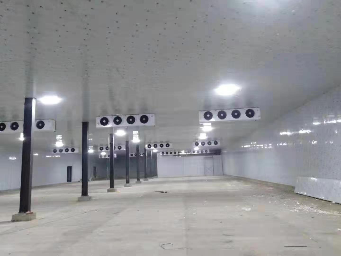 技術團隊