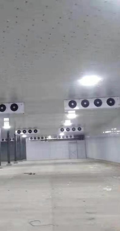 技術團隊